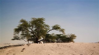 Bahrain vejrudsigt