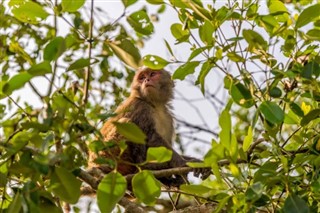 Bangladesh prévisions météorologiques