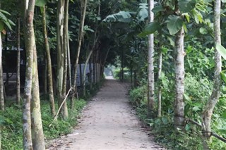 Bangladesh vejrudsigt
