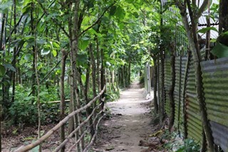 Bangladeş hava tahmini