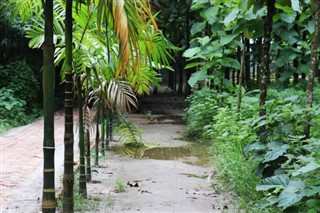 Bangladeş Hava tahmini