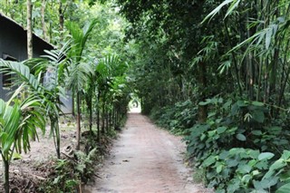Bangladeş hava tahmini