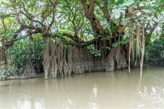 Bangladesh vejrudsigt