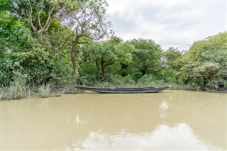 Bangladeş Hava tahmini