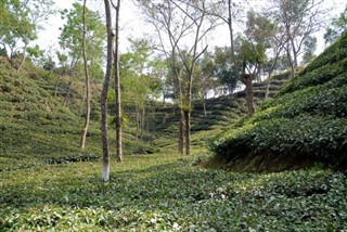 Bangladeş hava tahmini