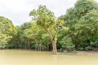 Bangladeş hava tahmini