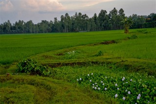Banglades időjárás-jelentés