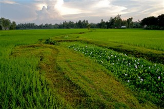 Bangladeş hava tahmini