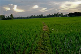 Bangladesh vejrudsigt