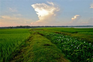 Bangladeş hava tahmini