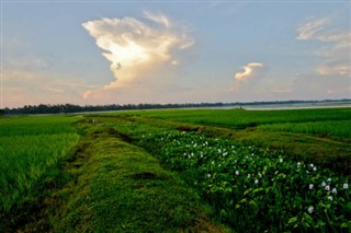 Bangladesh vejrudsigt