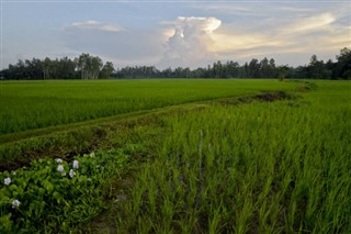 Bangladesh vejrudsigt