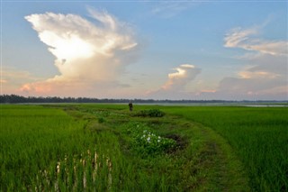 Banglades időjárás-jelentés