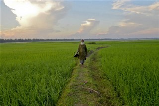 Bangladeş hava tahmini
