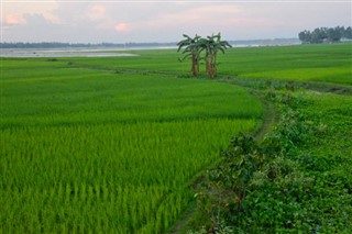 Bangladesh vejrudsigt