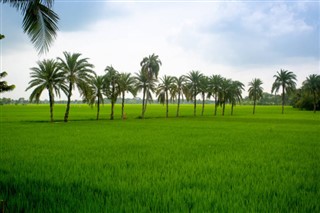 Bangladesh pronóstico del tiempo