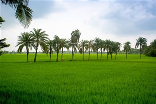 Bangladesh weather forecast