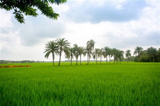 Bangladesh vejrudsigt