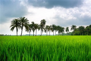 Bangladeş hava tahmini