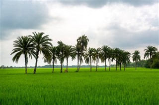 Bangladeş Hava tahmini