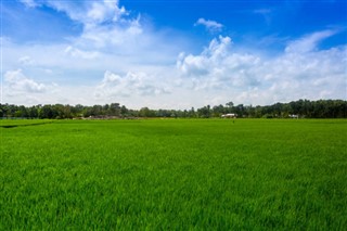 Bangladeş Hava tahmini