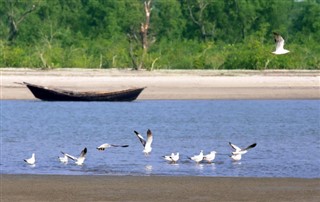 Bangladesh prévisions météorologiques