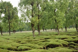Bangladesh vejrudsigt