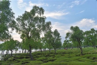 Bangladeş hava tahmini