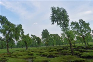 Bangladesh vejrudsigt