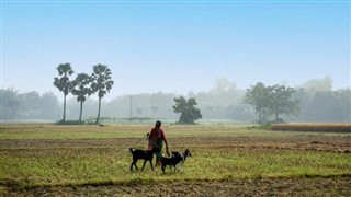 Banglades időjárás-jelentés