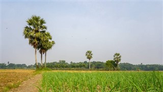 Bangladesh vejrudsigt