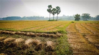 Bangladesh weather forecast