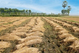 Bangladeş hava tahmini