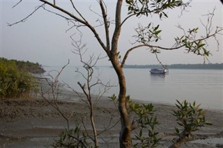 Bangladesh vejrudsigt