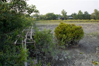 Bangladeş hava tahmini