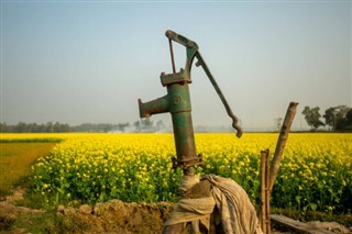Bangladeş Hava tahmini