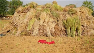 Bangladeş Hava tahmini