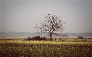 Bangladeş hava tahmini