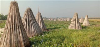 Bangladeş hava tahmini