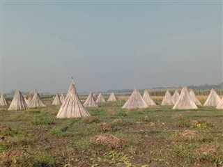 Bangladesh vejrudsigt