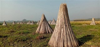 Bangladesh vejrudsigt