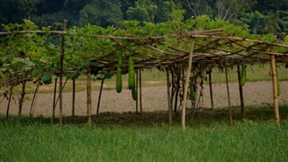 Bangladeş hava tahmini