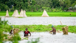 Bangladeş hava tahmini