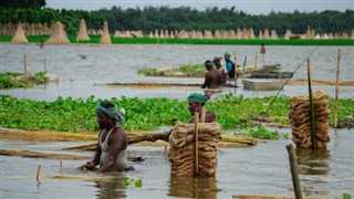 Bangladeş Hava tahmini
