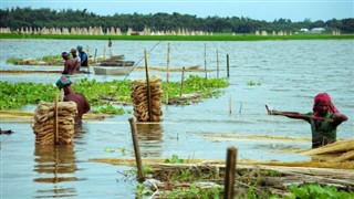 Bangladeş hava tahmini