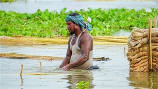 Bangladesh vejrudsigt