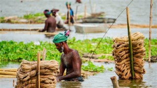 Bangladeş hava tahmini