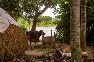 Bangladesh prévisions météorologiques