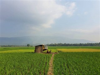 Banglades időjárás-jelentés