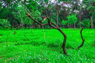 Bangladesh vejrudsigt